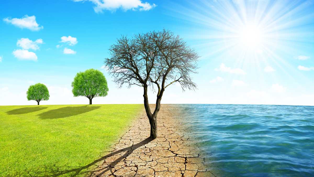O que são os fatores do clima