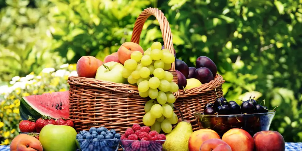 Tecnologia e inovação no transporte de frutas